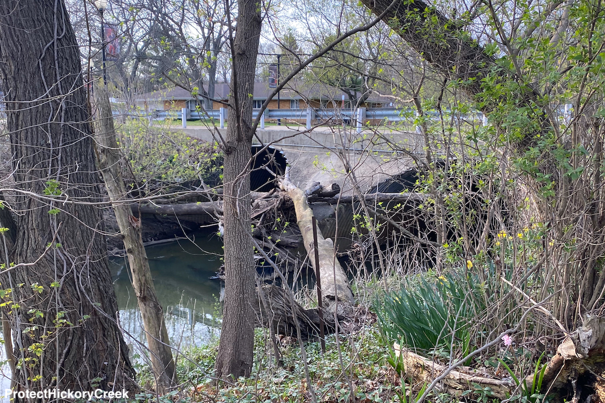 Hickory Creek Park Jung Memorial Nature Area and Trail
